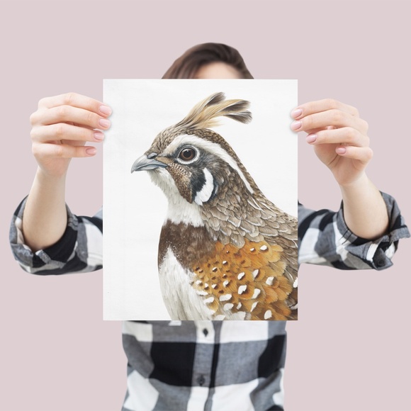 Watercolor Quail Wall Art Print, Unframed - Vibrant Nature-Inspired Home Decor - Picture 4 of 6